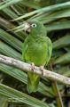 25 центов 2012 США "Эль-Юнке" (El Yunque) 11-й парк, двор D